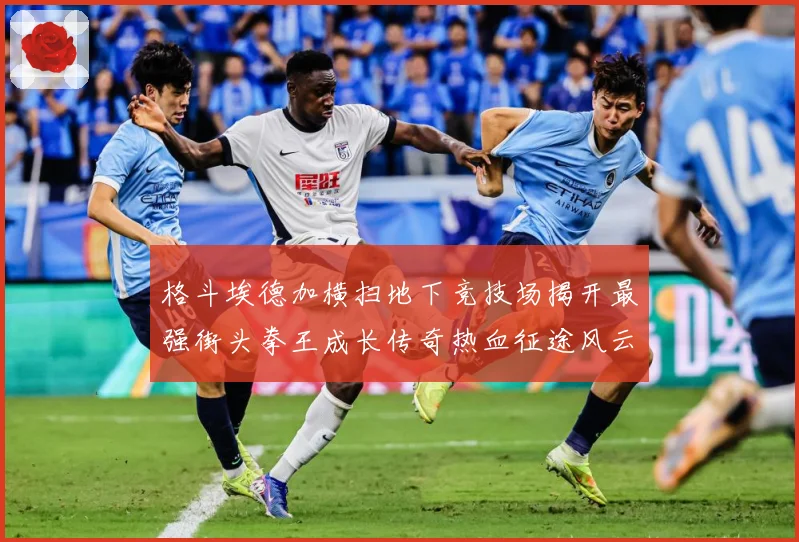 格斗埃德加横扫地下竞技场揭开最强街头拳王成长传奇热血征途风云录