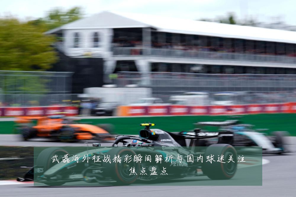 武磊海外征战精彩瞬间解析与国内球迷关注焦点盘点