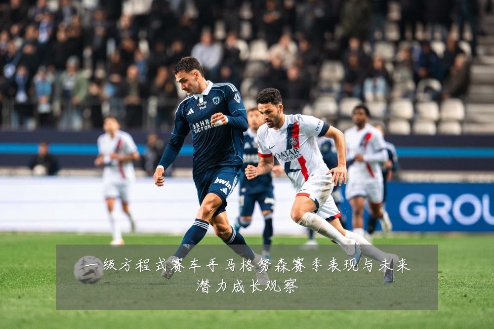 一级方程式赛车手马格努森赛季表现与未来潜力成长观察